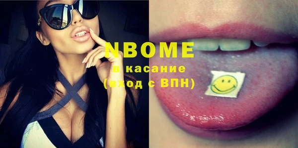 амф Бородино