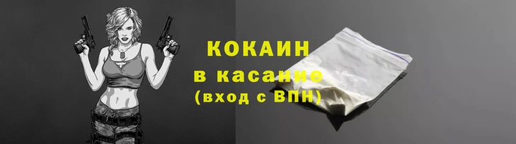 амф Бородино