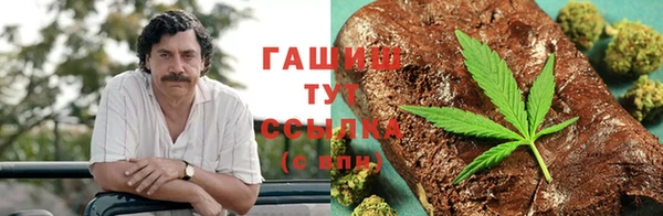 амф Бородино