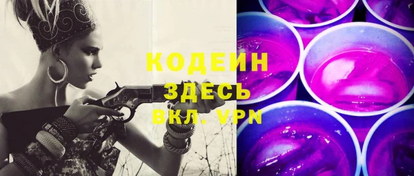 амф Бородино