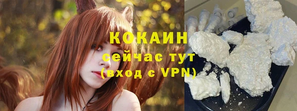 амф Бородино