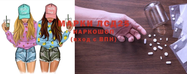 амф Бородино